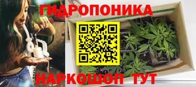 СК Вязьма